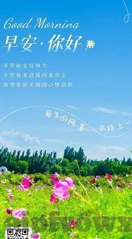 98碰碰碰人妻无码视频-98碰碰碰，人妻无码视频的背后与网络伦理的反思