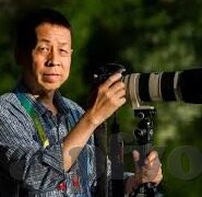 国产伦精品一区二区三区-国产影视的多元化探索，一区、二区、三区的独特魅力