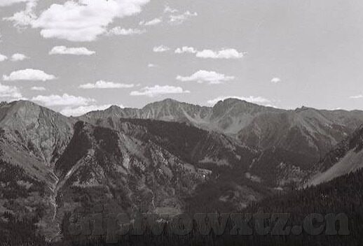 麻豆文化传媒入口-麻豆文化传媒，探索创意与艺术的数字交汇