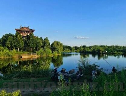 善良妈妈的朋友中文字幕-善良妈妈的朋友，温暖人心的故事