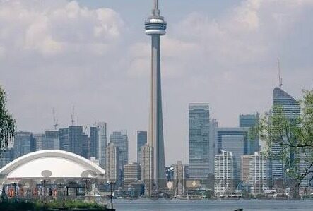 糖心vlog官网入口扫描-糖心Vlog，解码真实生活，拥抱每一刻精彩