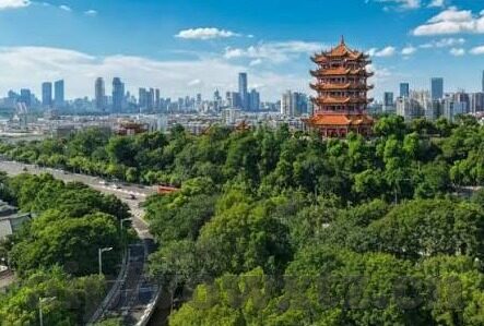 糖心v log最新下载官网-糖心v log下载新平台，探索数字娱乐的最新前沿